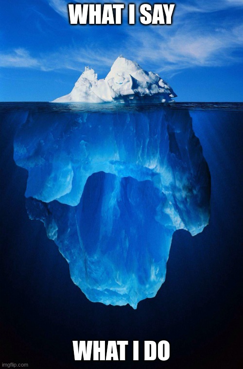 iceberg | WHAT I SAY; WHAT I DO | image tagged in iceberg | made w/ Imgflip meme maker