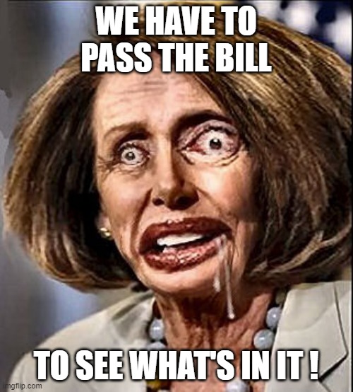 WE HAVE TO PASS THE BILL TO SEE WHAT'S IN IT ! | made w/ Imgflip meme maker