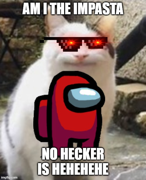 When the Beluga Discord squad plays among us... | AM I THE IMPASTA; NO HECKER IS HEHEHEHE | image tagged in beluga cat sus,amogus,beluga | made w/ Imgflip meme maker