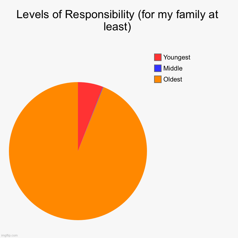 Levels of Responsibility (for my family at least) | Oldest, Middle, Youngest | image tagged in charts,pie charts | made w/ Imgflip chart maker