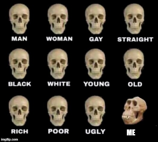 idiot skull | ME | image tagged in idiot skull | made w/ Imgflip meme maker