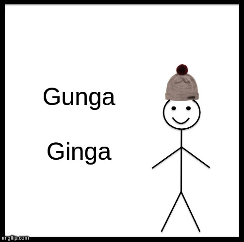 Gunga Ginga | Gunga; Ginga | image tagged in memes | made w/ Imgflip meme maker