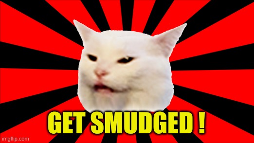 Starburst Smudge | GET SMUDGED ! | image tagged in woman yelling at cat,smudge the cat,smudge,what if i told you,that face you make when,cat | made w/ Imgflip meme maker