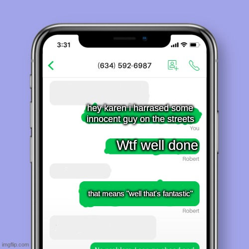 Karen's meaning of WTF | hey karen i harrased some innocent guy on the streets; Wtf well done; that means "well that's fantastic" | image tagged in texting | made w/ Imgflip meme maker