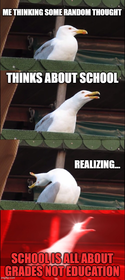 schooool | ME THINKING SOME RANDOM THOUGHT; THINKS ABOUT SCHOOL; REALIZING... SCHOOL IS ALL ABOUT GRADES NOT EDUCATION | image tagged in memes,inhaling seagull | made w/ Imgflip meme maker