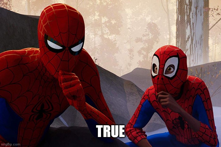 Learning from spiderman | TRUE | image tagged in learning from spiderman | made w/ Imgflip meme maker