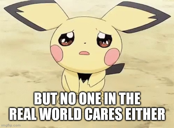 Sad pichu | BUT NO ONE IN THE REAL WORLD CARES EITHER | image tagged in sad pichu | made w/ Imgflip meme maker