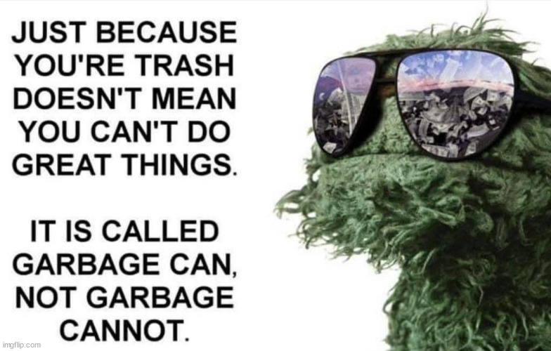 "It is called garbage can, not garbage cannot" | image tagged in sesame street,memes,funny | made w/ Imgflip meme maker