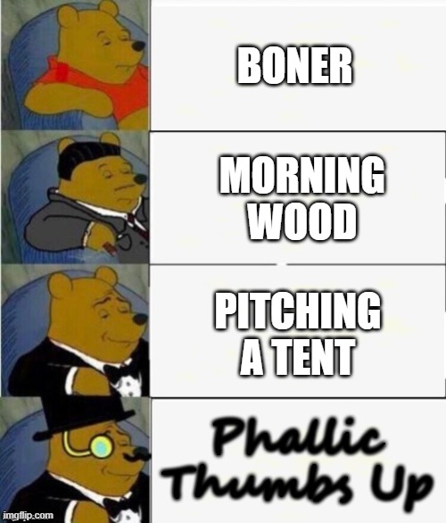 Peen go brr | BONER; MORNING   WOOD; PITCHING A TENT; Phallic Thumbs Up | image tagged in tuxedo winnie the pooh 4 panel | made w/ Imgflip meme maker