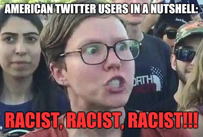 Triggered Liberal | AMERICAN TWITTER USERS IN A NUTSHELL: RACIST, RACIST, RACIST!!! | image tagged in triggered liberal | made w/ Imgflip meme maker