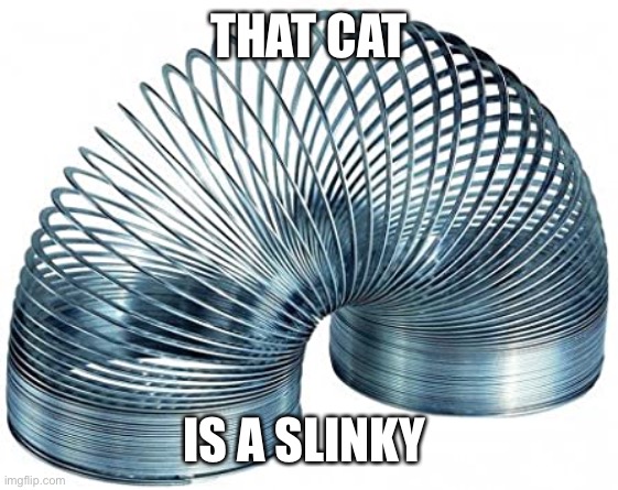 Slinky | THAT CAT IS A SLINKY | image tagged in slinky | made w/ Imgflip meme maker