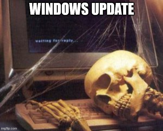 skeleton computer | WINDOWS UPDATE | image tagged in skeleton computer | made w/ Imgflip meme maker
