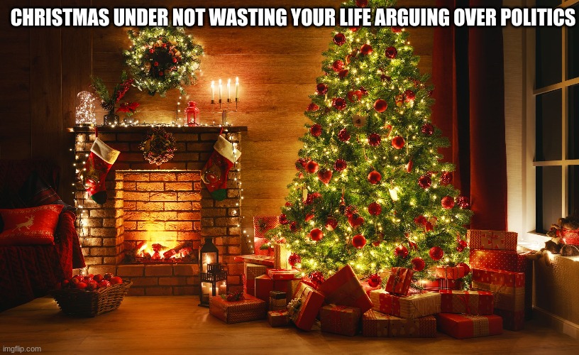 CHRISTMAS UNDER NOT WASTING YOUR LIFE ARGUING OVER POLITICS | made w/ Imgflip meme maker