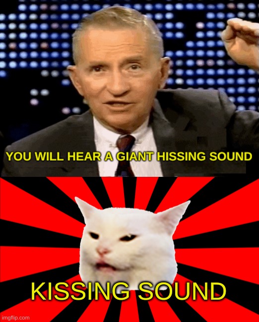 SMUDGE PEROT | KISSING SOUND | image tagged in smudge the cat,smudge,historical meme,kissing,ninja cat,cute cat | made w/ Imgflip meme maker