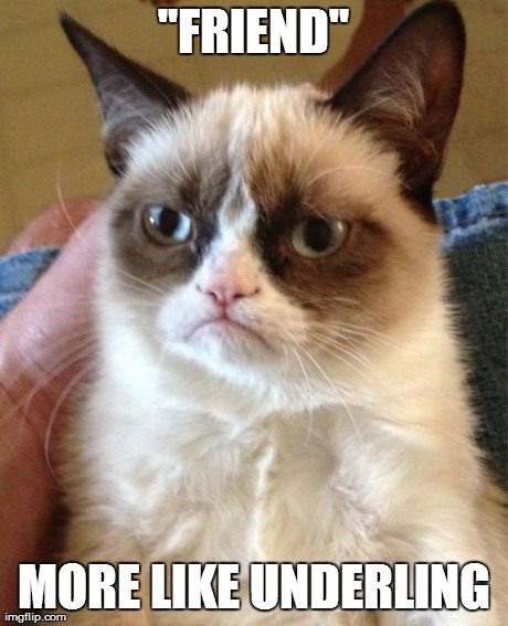 Grumpy Cat Meme | "FRIEND" MORE LIKE UNDERLING | image tagged in memes,grumpy cat | made w/ Imgflip meme maker