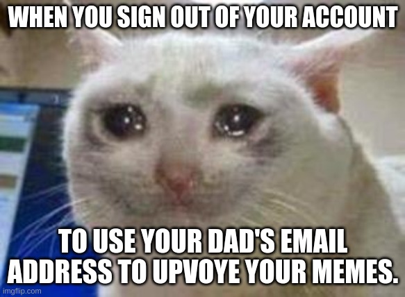 Image Title lol | WHEN YOU SIGN OUT OF YOUR ACCOUNT; TO USE YOUR DAD'S EMAIL ADDRESS TO UPVOYE YOUR MEMES. | image tagged in sad cat,liberals | made w/ Imgflip meme maker