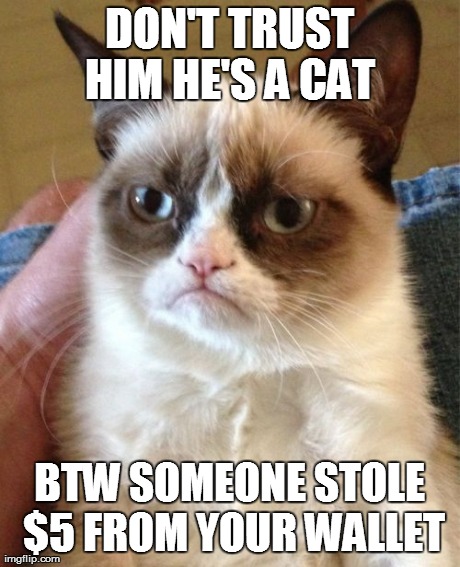 Grumpy Cat Meme | DON'T TRUST HIM HE'S A CAT  BTW SOMEONE STOLE $5 FROM YOUR WALLET | image tagged in memes,grumpy cat | made w/ Imgflip meme maker