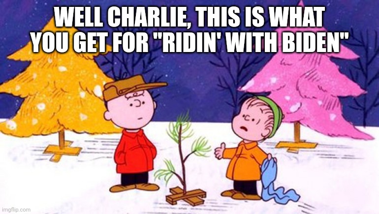 Charlie Brown Christmas Tree | WELL CHARLIE, THIS IS WHAT YOU GET FOR "RIDIN' WITH BIDEN" | image tagged in charlie brown christmas tree | made w/ Imgflip meme maker