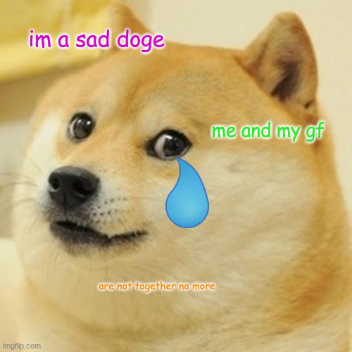 sad doge | im a sad doge; me and my gf; are not together no more | image tagged in memes,doge | made w/ Imgflip meme maker