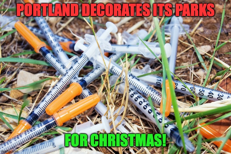 PORTLAND DECORATES ITS PARKS; FOR CHRISTMAS! | image tagged in portland,needles,homeless,christmas | made w/ Imgflip meme maker