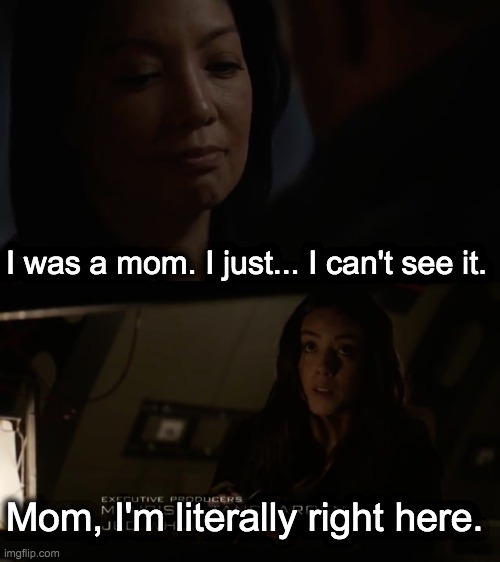 Mama May |  I was a mom. I just... I can't see it. Mom, I'm literally right here. | image tagged in marvel,shield | made w/ Imgflip meme maker