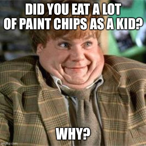 Tommy Boy | DID YOU EAT A LOT OF PAINT CHIPS AS A KID? WHY? | image tagged in tommy boy | made w/ Imgflip meme maker