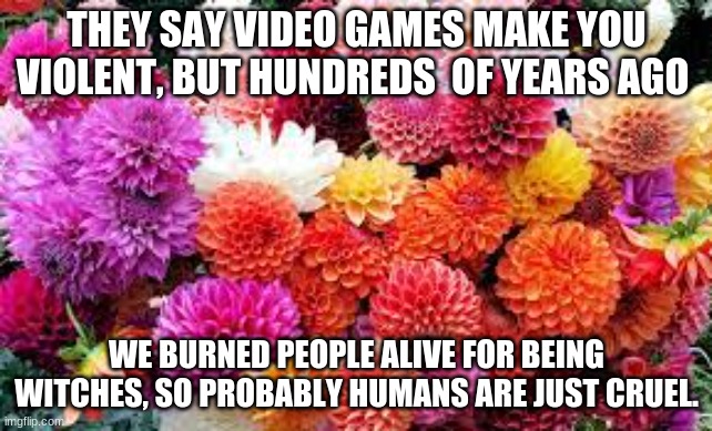so true | THEY SAY VIDEO GAMES MAKE YOU VIOLENT, BUT HUNDREDS  OF YEARS AGO; WE BURNED PEOPLE ALIVE FOR BEING WITCHES, SO PROBABLY HUMANS ARE JUST CRUEL. | image tagged in funny,memes | made w/ Imgflip meme maker