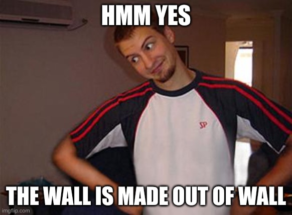 Oh You | HMM YES; THE WALL IS MADE OUT OF WALL | image tagged in oh you | made w/ Imgflip meme maker
