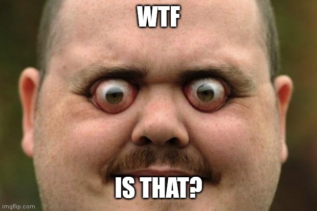 bulging eyes | WTF IS THAT? | image tagged in bulging eyes | made w/ Imgflip meme maker