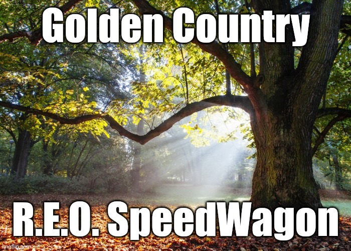 Golden Country R.E.O. SpeedWagon | image tagged in oaks grab up all the light | made w/ Imgflip meme maker