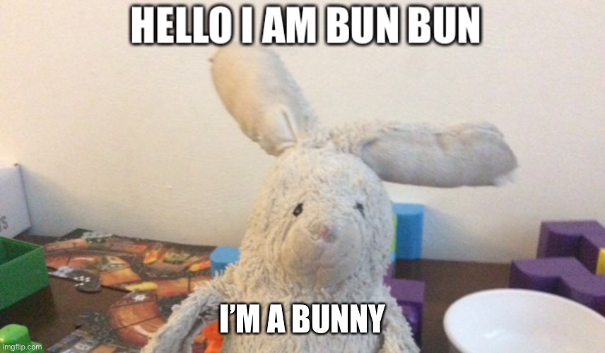 It’s my favorite plush | I’M A BUNNY | made w/ Imgflip meme maker