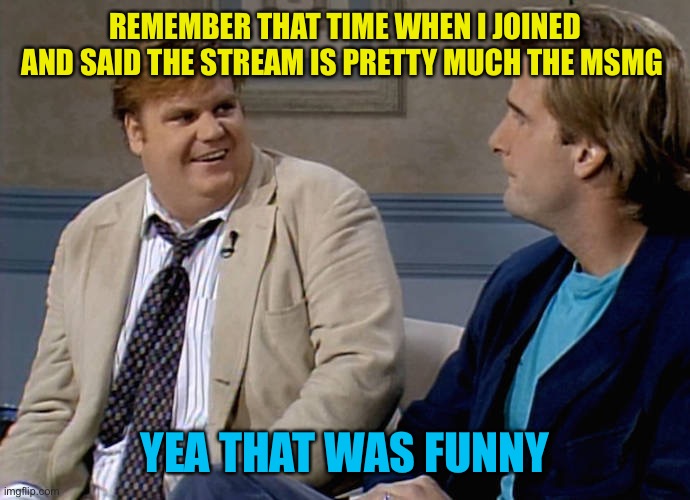 Remember that time | REMEMBER THAT TIME WHEN I JOINED AND SAID THE STREAM IS PRETTY MUCH THE MSMG YEA THAT WAS FUNNY | image tagged in remember that time | made w/ Imgflip meme maker