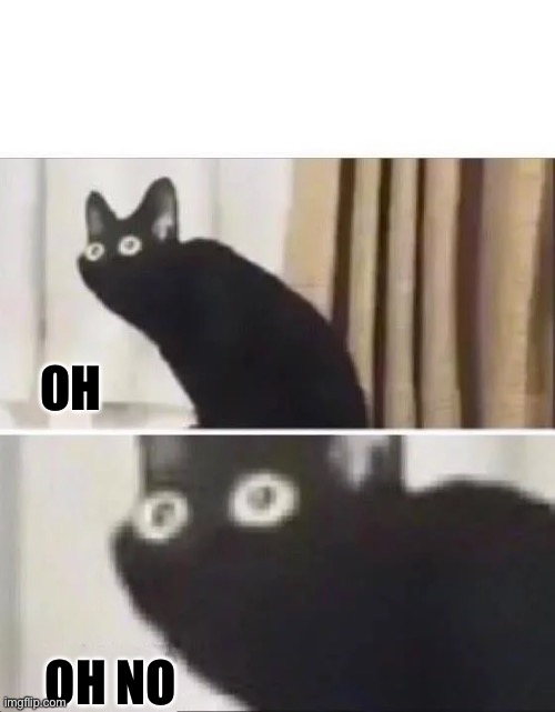 Oh No Black Cat | OH OH NO | image tagged in oh no black cat | made w/ Imgflip meme maker