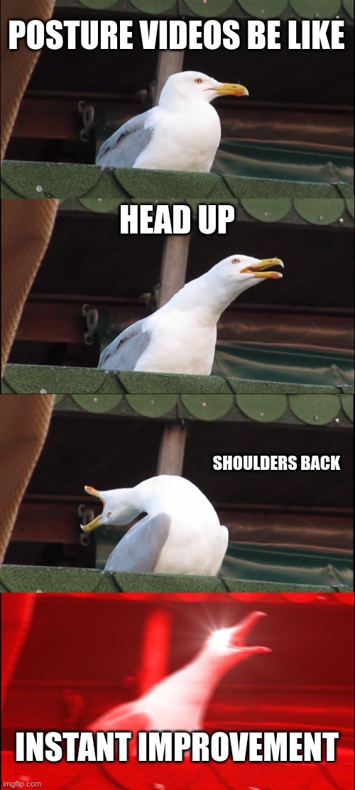 Inhaling Seagull | POSTURE VIDEOS BE LIKE; HEAD UP; SHOULDERS BACK; INSTANT IMPROVEMENT | image tagged in memes,inhaling seagull | made w/ Imgflip meme maker