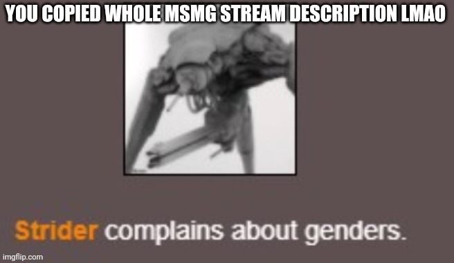 Genders | YOU COPIED WHOLE MSMG STREAM DESCRIPTION LMAO | image tagged in genders | made w/ Imgflip meme maker
