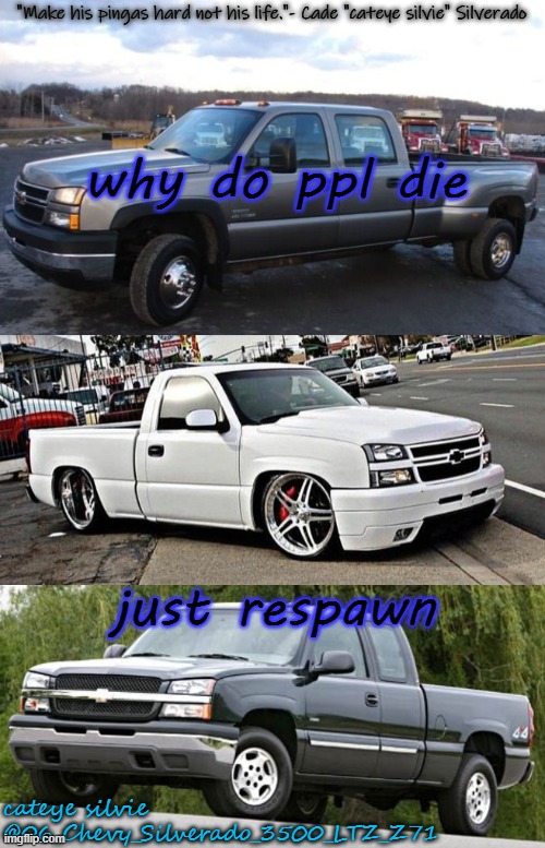 DAMMIT I CAN'T RESPAWN MY TRUCK!!!!!!!!! (very angery bc of that 18 wheeler driver) | why do ppl die; just respawn | image tagged in cateye silvie's temp by cateye silvie | made w/ Imgflip meme maker