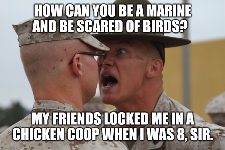 Marines di | HOW CAN YOU BE A MARINE AND BE SCARED OF BIRDS? MY FRIENDS LOCKED ME IN A CHICKEN COOP WHEN I WAS 8, SIR. | image tagged in marines di | made w/ Imgflip meme maker