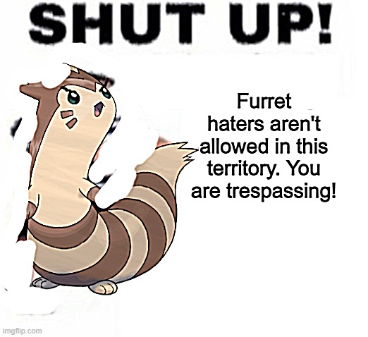 New temp | image tagged in anti- furret haters | made w/ Imgflip meme maker