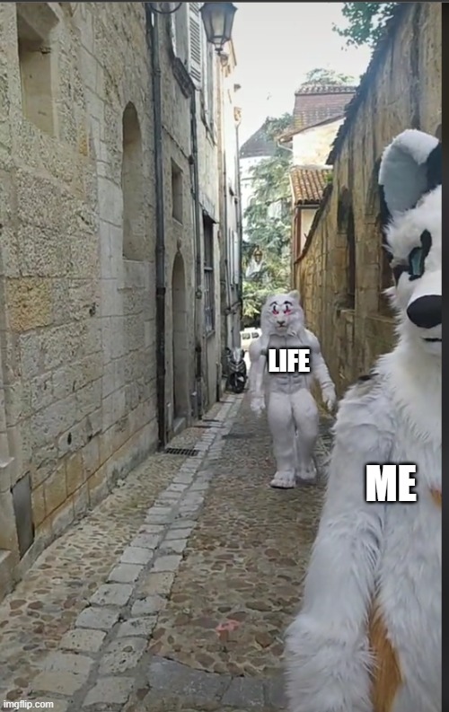 furry behind furry | ME; LIFE | image tagged in furry behind furry | made w/ Imgflip meme maker