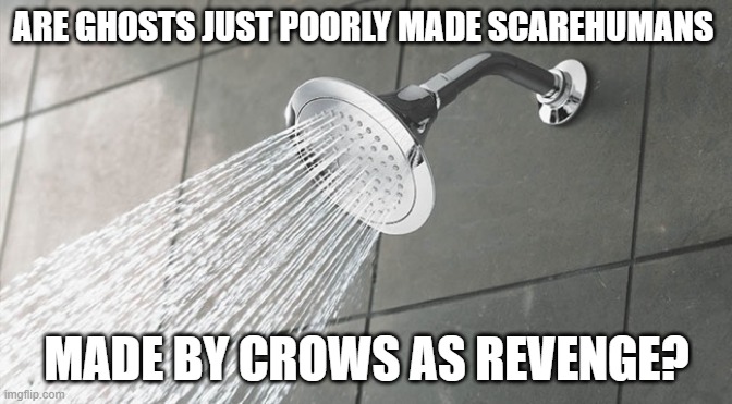 Shower Thoughts | ARE GHOSTS JUST POORLY MADE SCAREHUMANS; MADE BY CROWS AS REVENGE? | image tagged in shower thoughts | made w/ Imgflip meme maker