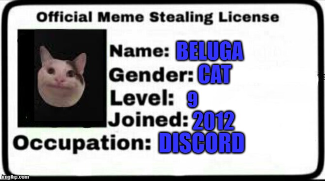 Ok Beluga can steal your memes.. | BELUGA; CAT; 9; 2012; DISCORD | image tagged in meme stealing license,beluga,oh no,certified bruh moment | made w/ Imgflip meme maker