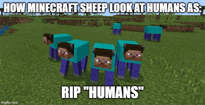 The Sheep | HOW MINECRAFT SHEEP LOOK AT HUMANS AS:; RIP "HUMANS" | image tagged in me and the boys,memes,minecraft,minecraft sheep,humans,rip | made w/ Imgflip meme maker