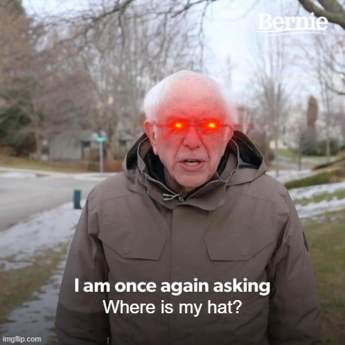 When you loose your hat for the one millionth time. | Where is my hat? | image tagged in memes,bernie i am once again asking for your support,hat,losing stuff | made w/ Imgflip meme maker