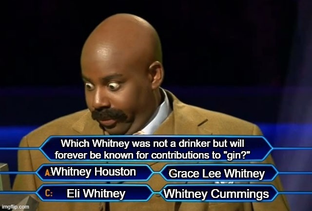 Who wants to be a millionaire? | Which Whitney was not a drinker but will forever be known for contributions to "gin?"; Whitney Houston; Grace Lee Whitney; Whitney Cummings; Eli Whitney | image tagged in who wants to be a millionaire | made w/ Imgflip meme maker