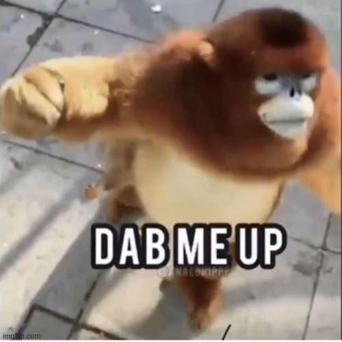 image tagged in dab me up | made w/ Imgflip meme maker
