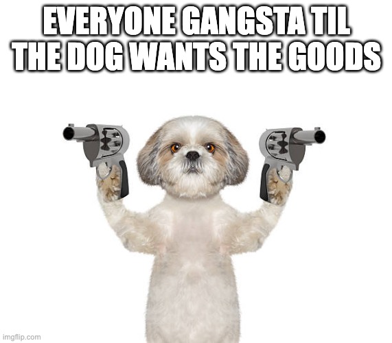 Dog Thief | EVERYONE GANGSTA TIL THE DOG WANTS THE GOODS | image tagged in funny | made w/ Imgflip meme maker