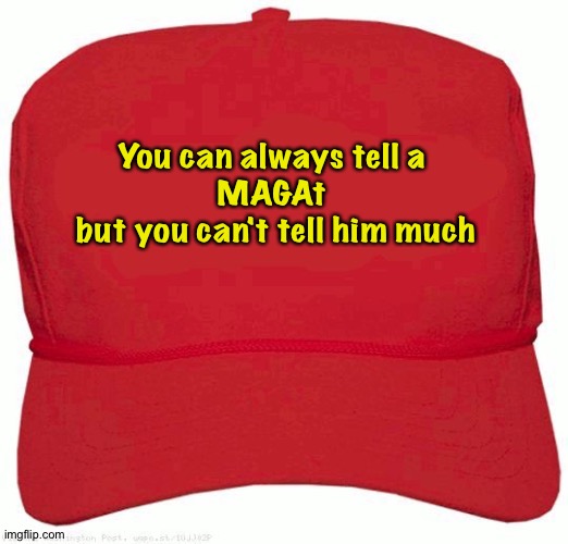 Red Hat | You can always tell a 
MAGAt 
but you can't tell him much | image tagged in red hat | made w/ Imgflip meme maker