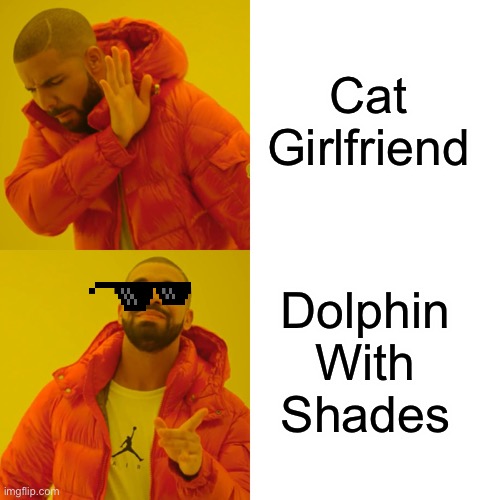 Drake Hotline Bling Meme | Cat Girlfriend Dolphin With Shades | image tagged in memes,drake hotline bling | made w/ Imgflip meme maker