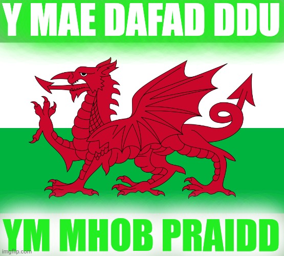 Y MAE DAFAD DDU YM MHOB PRAIDD | made w/ Imgflip meme maker