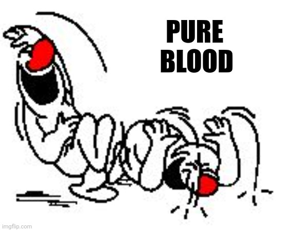 LOL Hysterically | PURE          
BLOOD | image tagged in lol hysterically | made w/ Imgflip meme maker
